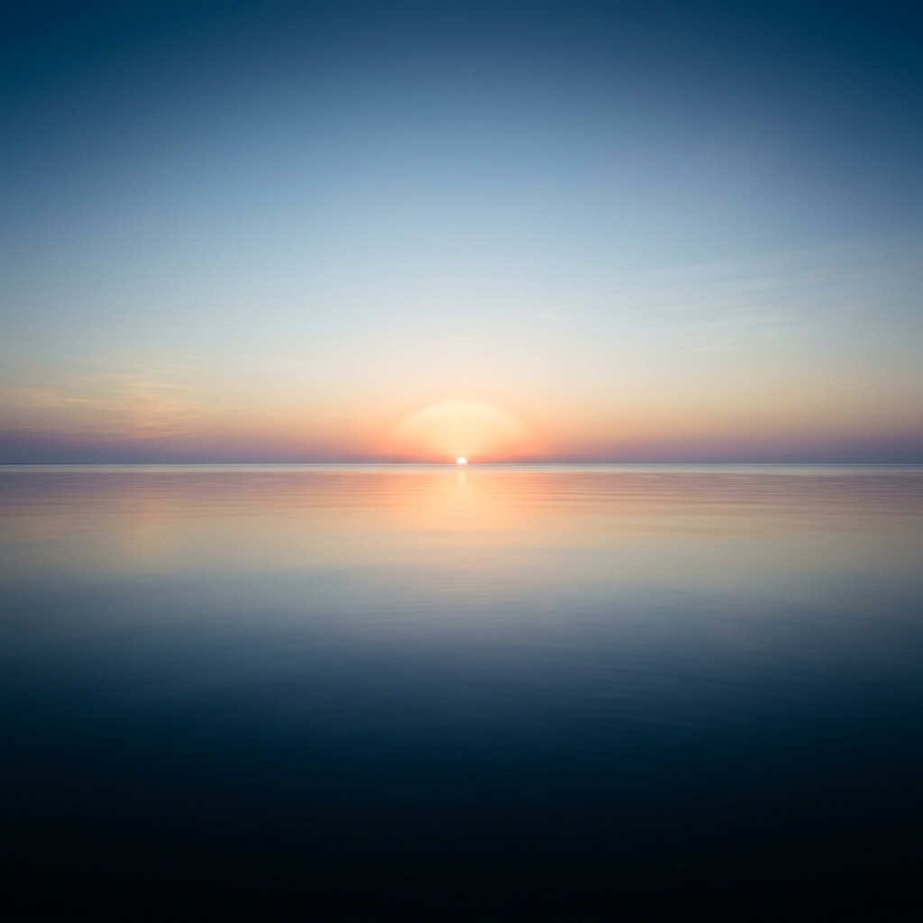 Mist over a vast green forest at dawn