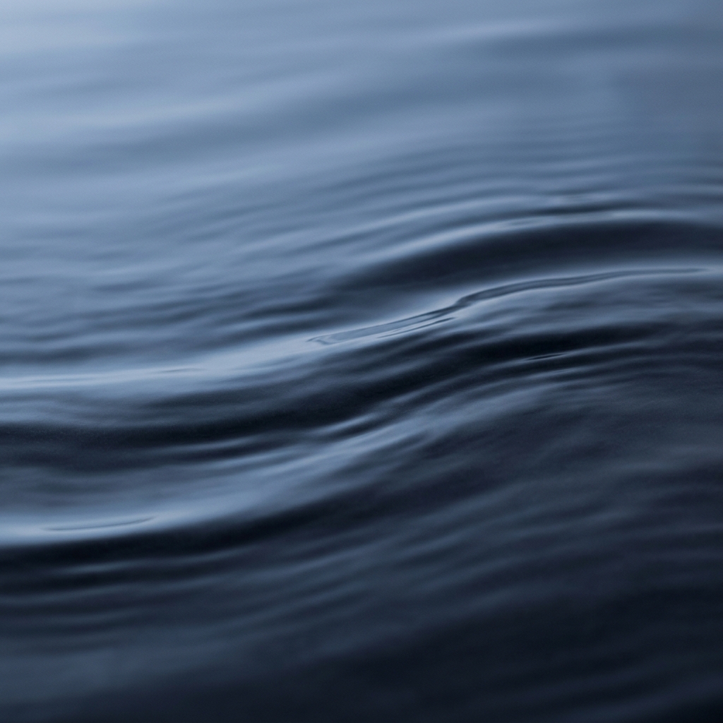 Organic leaf texture